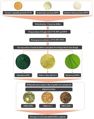 A holistic approach toward development of plant-based meat alternatives through incorporation of novel microalgae-based ingredients